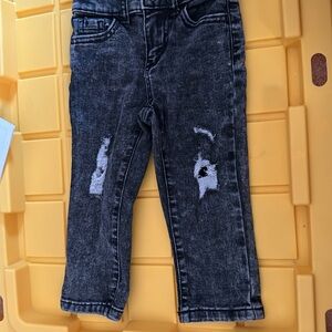 Toddler distress pants